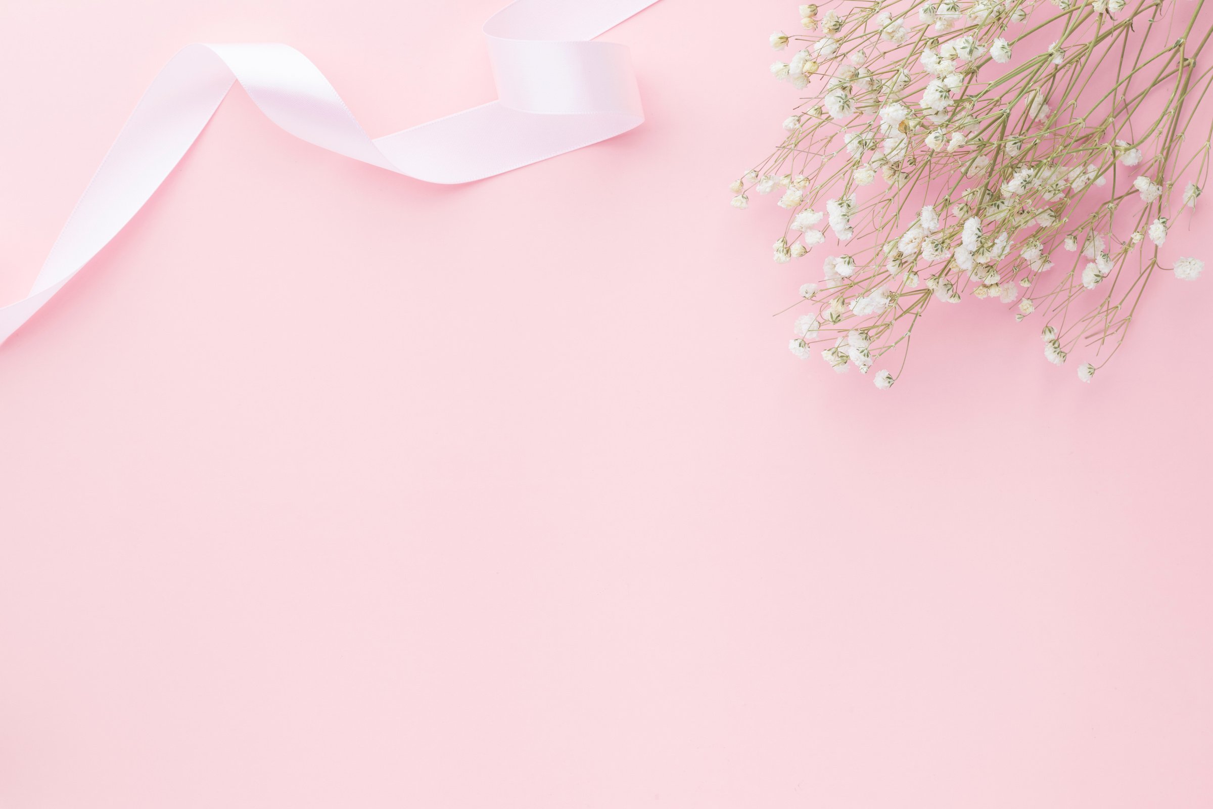 Gypsophila flowers on pink pastel background, Minimalism, Sp